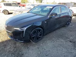 Cadillac salvage cars for sale: 2024 Cadillac CT4 Luxury +