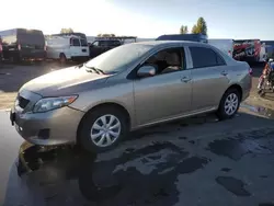 Salvage cars for sale from Copart Hayward, CA: 2010 Toyota Corolla Base