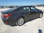 2014 Lexus ES 300H