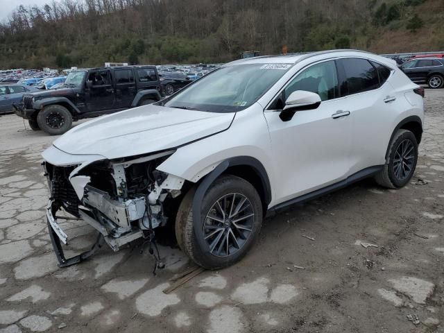 2024 Lexus NX 350 Premium