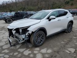 Salvage cars for sale at Hurricane, WV auction: 2024 Lexus NX 350 Premium