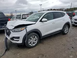 Vehiculos salvage en venta de Copart Indianapolis, IN: 2019 Hyundai Tucson SE