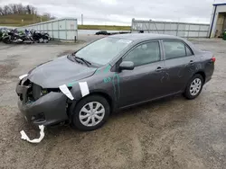 Toyota salvage cars for sale: 2010 Toyota Corolla Base