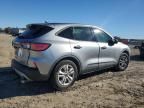 2021 Ford Escape S