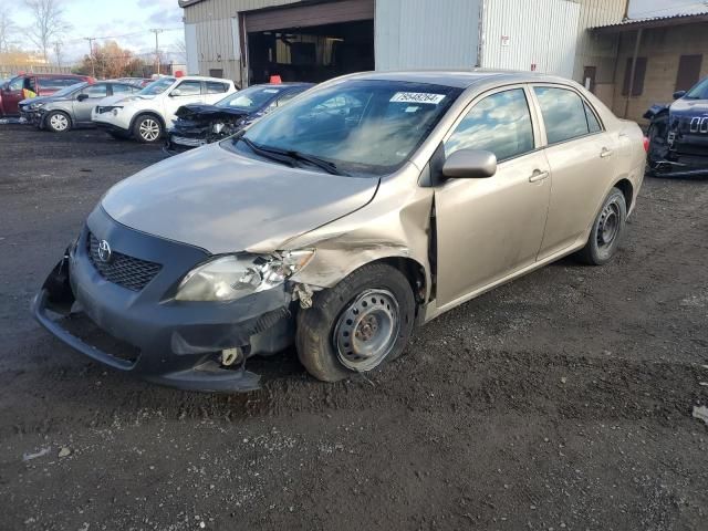 2010 Toyota Corolla Base