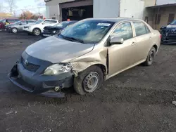 Toyota Corolla salvage cars for sale: 2010 Toyota Corolla Base