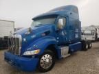 2010 Peterbilt 387