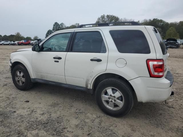 2010 Ford Escape XLT