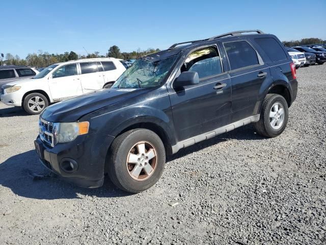 2009 Ford Escape XLT