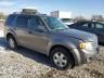 2009 Ford Escape XLT