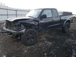 Salvage cars for sale from Copart Windsor, NJ: 2002 Toyota Tacoma Xtracab