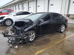 Salvage cars for sale at Louisville, KY auction: 2014 Ford Focus SE