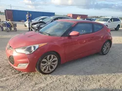 Salvage cars for sale at Arcadia, FL auction: 2013 Hyundai Veloster