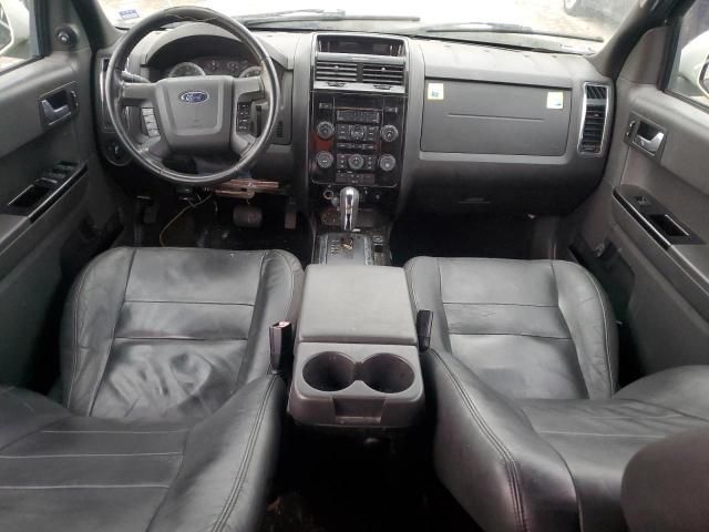 2010 Ford Escape Limited