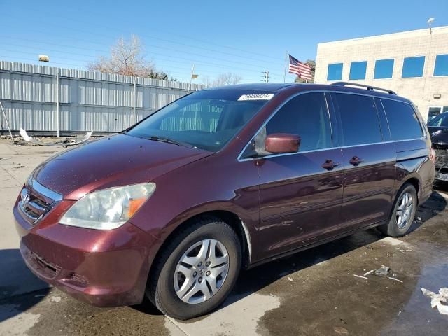 2007 Honda Odyssey EXL