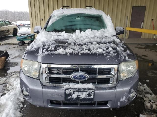 2008 Ford Escape XLT