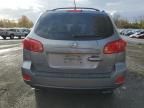 2007 Hyundai Santa FE SE