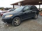 2007 Hyundai Santa FE SE