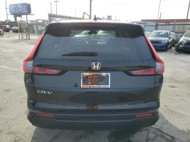 2024 Honda CR-V EXL