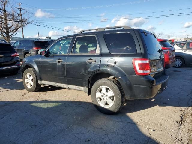 2009 Ford Escape XLT