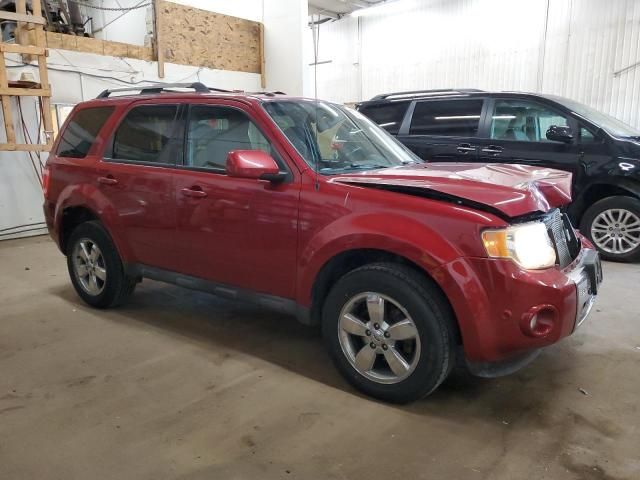 2010 Ford Escape Limited