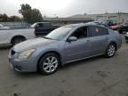 2007 Nissan Maxima SE