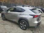 2021 Lexus NX 300H Base