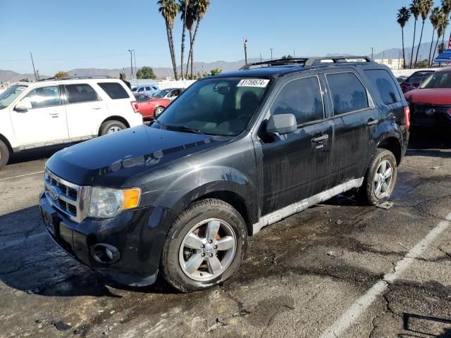 2010 Ford Escape XLT