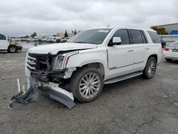 Salvage cars for sale at auction: 2017 Cadillac Escalade Luxury