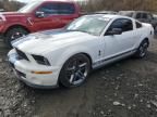 2009 Ford Mustang Shelby GT500