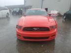 2013 Ford Mustang