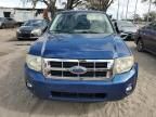 2008 Ford Escape HEV