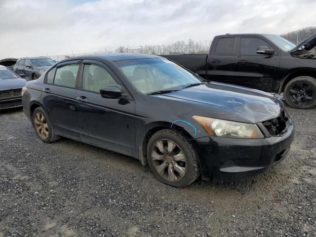 2009 Honda Accord EXL