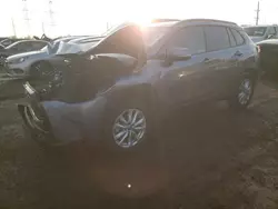 Salvage cars for sale at Elgin, IL auction: 2024 Toyota Corolla Cross LE