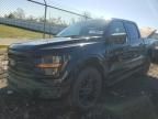 2024 Ford F150 XLT