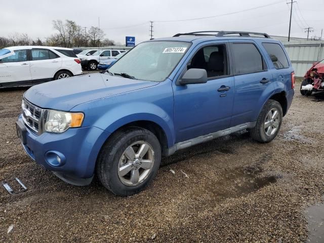 2010 Ford Escape XLT