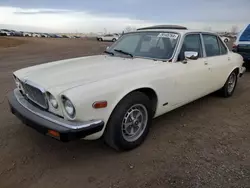 Salvage cars for sale from Copart Rocky View County, AB: 1985 Jaguar XJ6 Sovereign