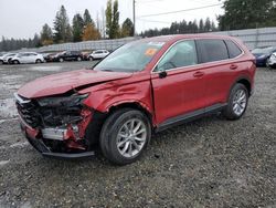 Salvage cars for sale at Graham, WA auction: 2024 Honda CR-V EXL