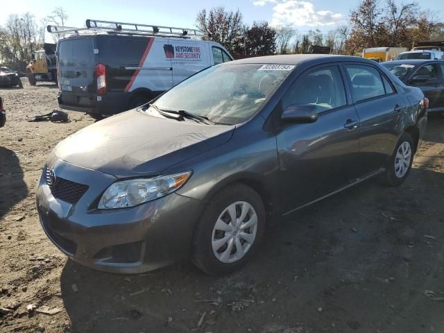 2010 Toyota Corolla Base