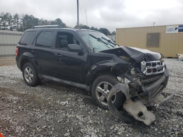 2011 Ford Escape Limited