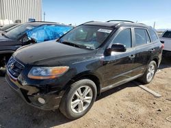 Hyundai salvage cars for sale: 2011 Hyundai Santa FE SE