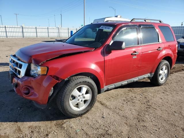 2010 Ford Escape XLT