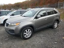 KIA salvage cars for sale: 2011 KIA Sorento Base