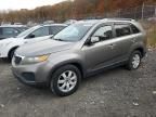 2011 KIA Sorento Base