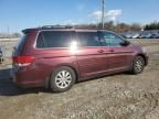 2008 Honda Odyssey EXL