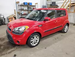 Vehiculos salvage en venta de Copart Ham Lake, MN: 2013 KIA Soul