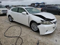 Carros salvage sin ofertas aún a la venta en subasta: 2013 Lexus ES 350