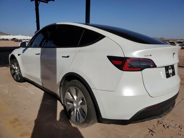 2020 Tesla Model Y