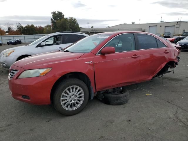 2009 Toyota Camry Hybrid