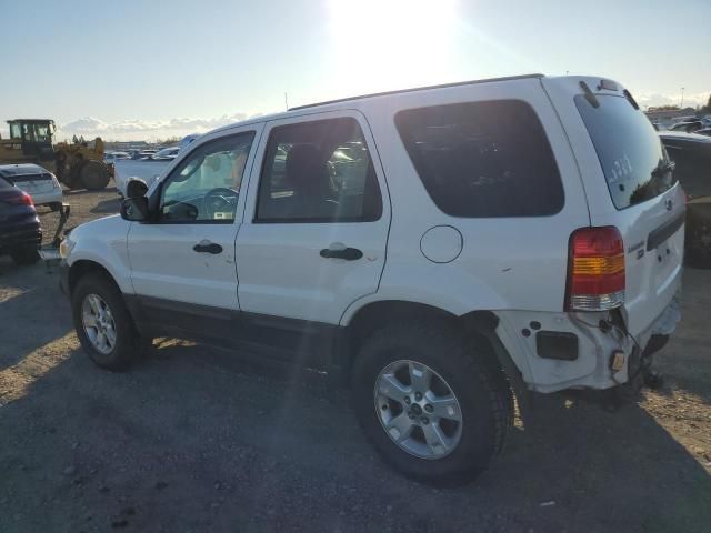 2006 Ford Escape XLT